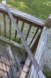 IMG_3365.jpeg