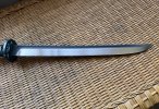 IMG_0618.jpeg