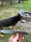 IMG_0253.jpeg