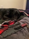 IMG_7918.jpeg