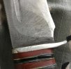 IMG_3670.jpeg