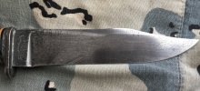 IMG_3682.jpeg