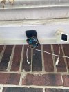 IMG_0361.jpeg
