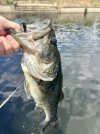 IMG_9640.jpeg