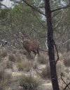 IMG_8380.jpeg