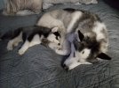 20180523_220305.jpg