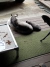 20180524_074737.jpg