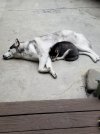20180524_121116.jpg