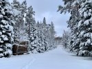 IMG_3091.jpeg