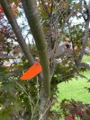 IMG_0051.jpeg