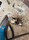 IMG_0455.jpeg
