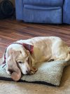 IMG_2991.jpeg