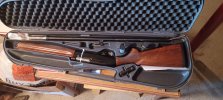 benelli 20 ga.jpg