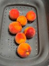IMG_3793.jpeg
