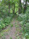 IMG_0071.jpeg