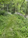 IMG_0069.jpeg