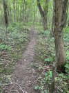 IMG_0068.jpeg