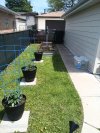 IMG_20250526_134126667.jpg