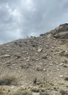 IMG_2583.jpeg