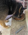 IMG_0606.jpeg