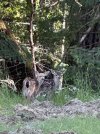 IMG_9039.jpeg
