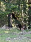 IMG_9042.jpeg