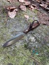 IMG_9730.jpeg