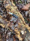 IMG_8872.jpeg