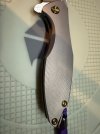 IMG_4253.jpeg