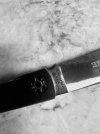 IMG_6585.jpeg