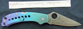 Delica 11.jpg