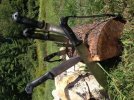Beckers in Stump 2.jpg