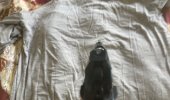 IMG_8155.jpeg