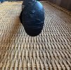 IMG_0699.jpeg