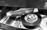 IMG_9153.jpeg