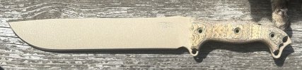 IMG_1516.jpeg