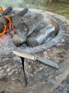 IMG_0643.jpeg