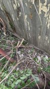 IMG_2062.jpeg