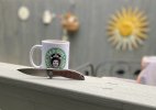 IMG_2896.jpeg