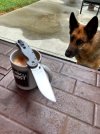 IMG_0300.jpeg