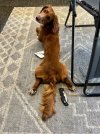 IMG_0324.jpeg