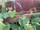 IMG_1329.jpeg