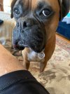 IMG_4708.jpeg