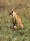 IMG_1425.jpeg
