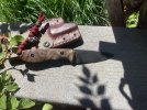 IMG_1333.jpeg