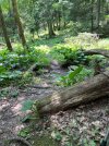 IMG_0142.jpeg
