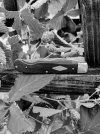IMG_20250603_173624167~3.jpg