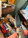 IMG_7183.jpeg