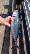 IMG_5683.jpeg
