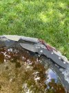 IMG_0961.jpeg